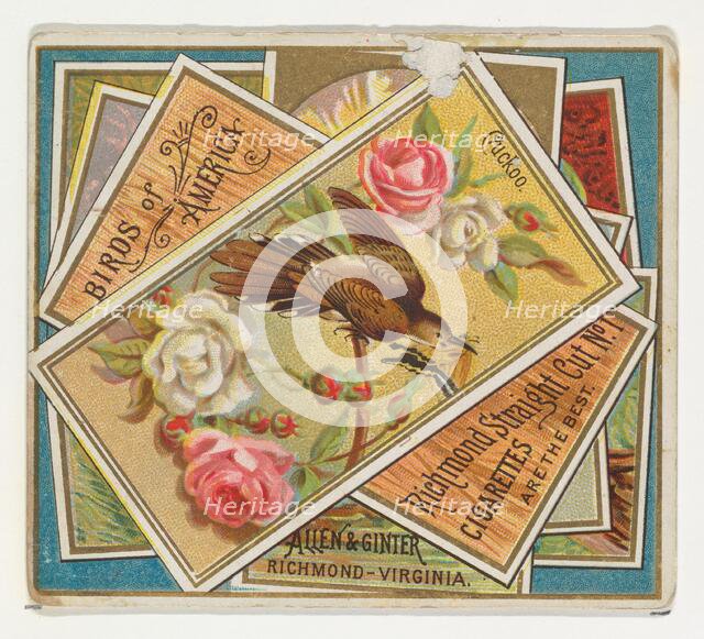 Cuckoo, from the Birds of America series (N37) for Allen & Ginter Cigarettes, 1888. Creator: Allen & Ginter.