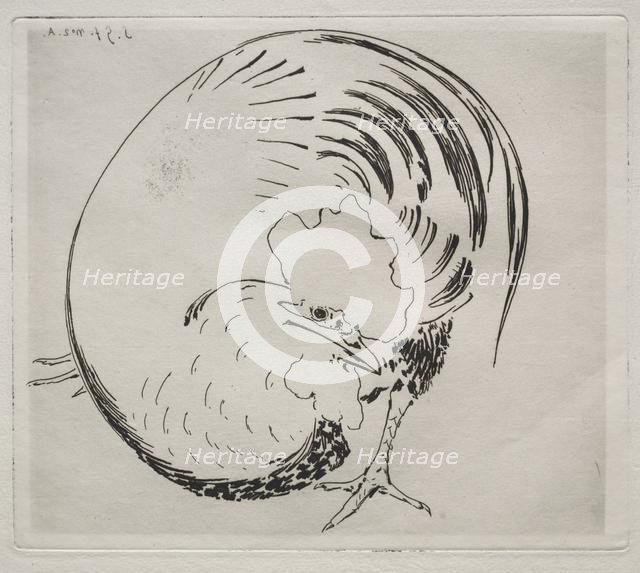 The High-Fired Service: Rooster, c. 1860. Creator: Félix Bracquemond (French, 1833-1914).