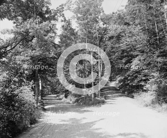 Parting of the ways, Dublin, N.H., c1905. Creator: Unknown.
