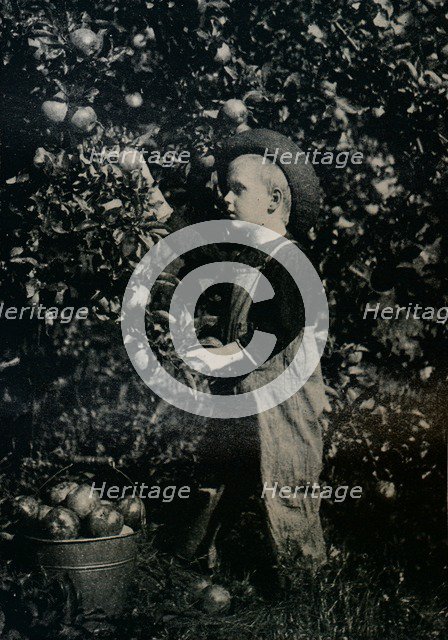 'In One Of Ontaario's Fruitful Orchards', c1934. Artist: Unknown.