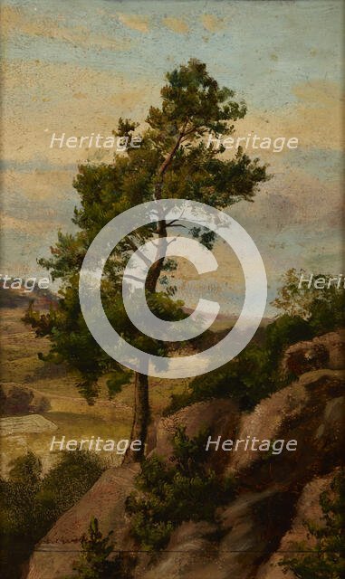 Stone Pine, before 1870. Creator: Heinrich Grabinski.