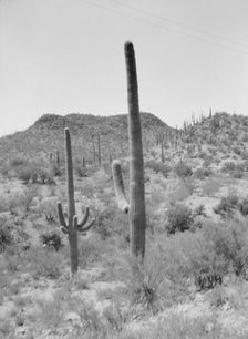 Travel views of the American Southwest, between 1899 and 1928. Creator: Arnold Genthe.