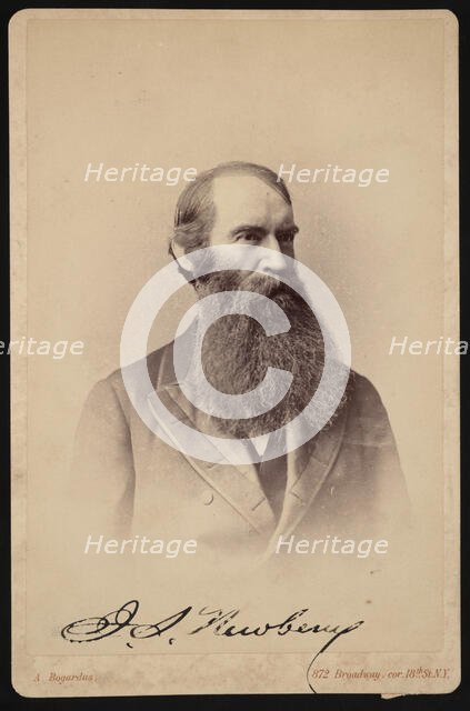 Portrait of John Strong Newberry (1822-1892), Between 1876 and 1887. Creator: Abraham Bogardus.