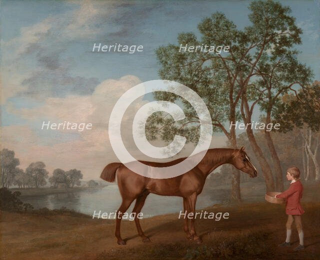 Pumpkin with a Stable-lad, 1774. Creator: George Stubbs.