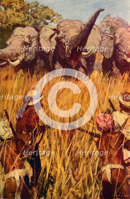 'Elephants in Chase', c1850 (c1912). Artist: Unknown.