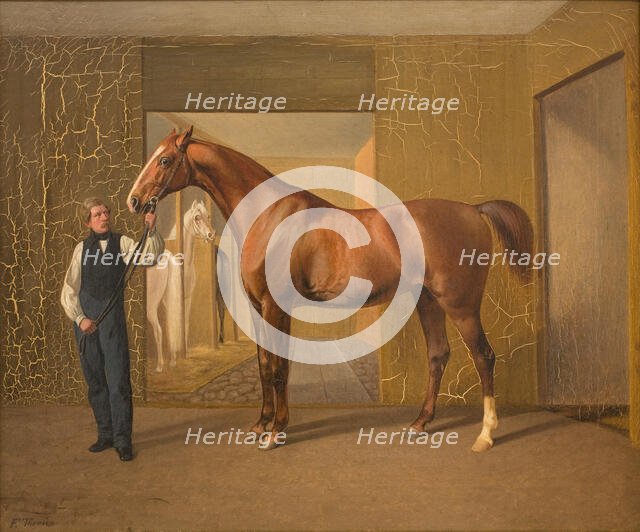 Lord Cochrane, 1834-1872. Creator: Fritz Thomsen.