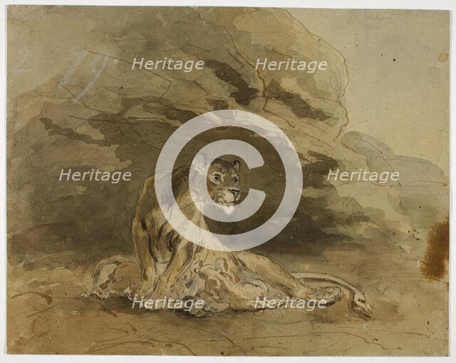 Lioness and Cubs, n.d. Creator: Sawrey Gilpin.