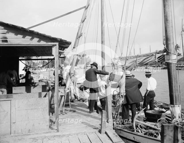 Miami, Fla., fish docks along the Miami, between 1900 and 1920. Creator: Unknown.