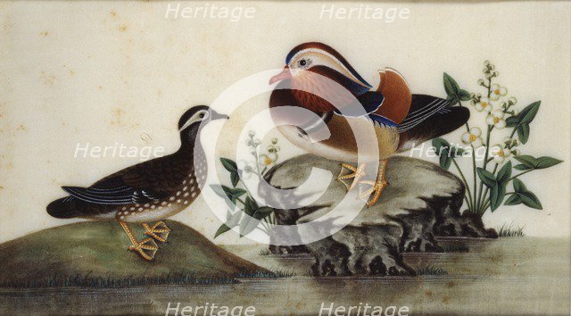 Painting - Two ducks and flowering water plants by a pond, Late c19th. Artist: Sunqua.