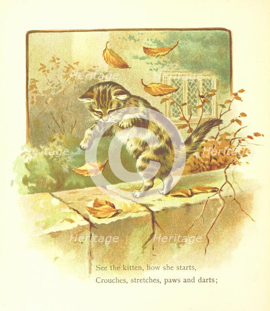 See the kitten, how she starts, Crouches, stretches, paws and darts, 1893.  Creator: Jessie Hall.