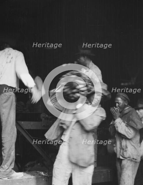 Unloading bananas, New Orleans, between 1920 and 1926. Creator: Arnold Genthe.