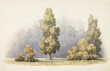 Trees, c1890s. Creator: Albert Edelfelt.