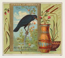Crow, from the Birds of America series (N37) for Allen & Ginter Cigarettes, 1888. Creator: Allen & Ginter.