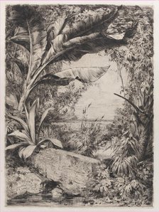 Tropical Plants, 1863. Creator: Jules-Ferdinand Jacquemart.