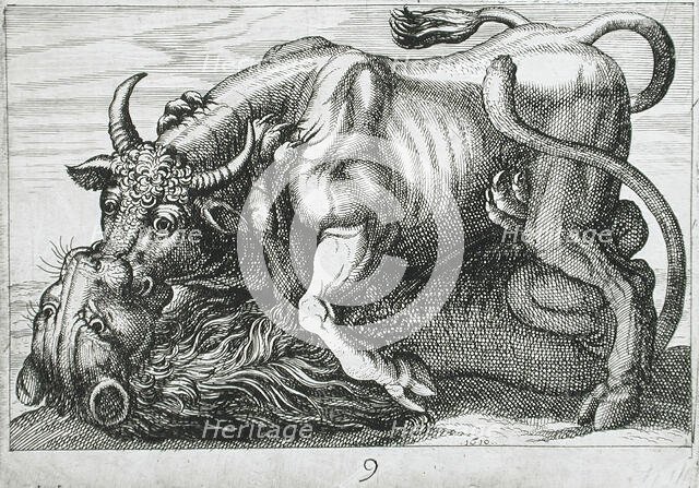 A Bull Fighting a Lion, 1610. Creator: Hendrick Hondius I.