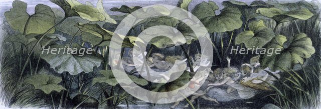 'Water lilies and water fairies of the period', c1869-c1870. Creator: Richard Doyle.