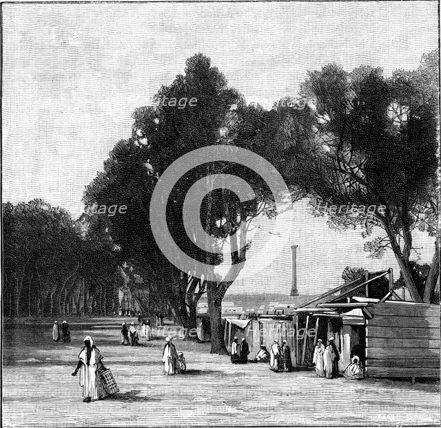 Street scene with Pompey's Pillar in the distance, Alexandria, Egypt, 1900. Artist: Unknown