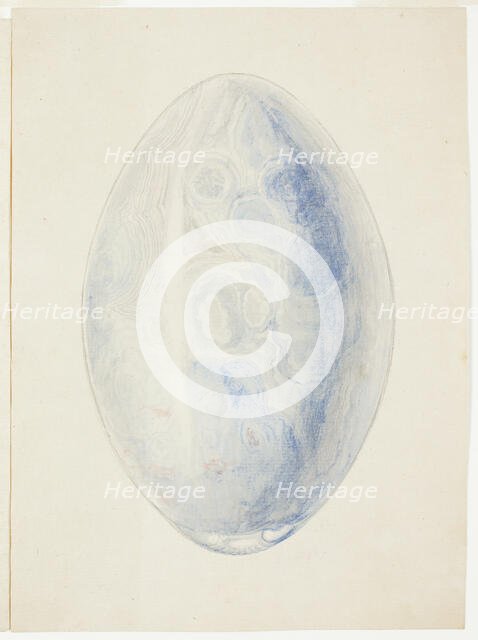 Overview of Oval Shell Stone, n.d. Creator: Giuseppe Grisoni.