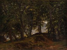 A shady spot at Hestehave near Frederiksborg, 1860. Creator: Godtfred Rump.