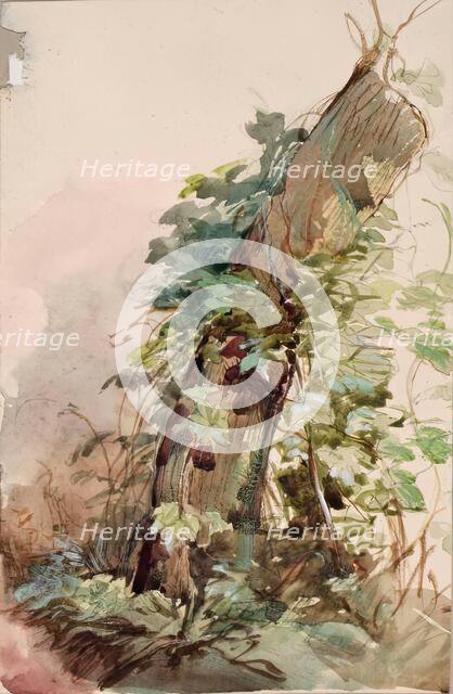 Ivy Covered Tree Stump, c1840s. Creator: John Phillip.