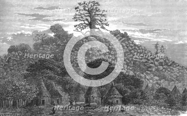 ''The Baobab Tree of Kouroundingkoto; Journey from the Senegal to the Niger', 1875. Creator: Unknown.
