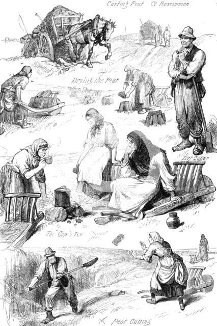 Sketches among the Irish peasantry: winter fuel, 1881. Creator: Unknown.