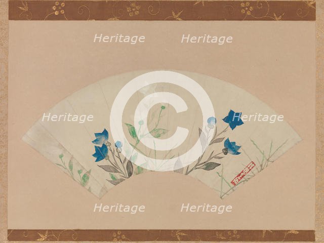 Chinese Bellflowers. Creator: Unknown.