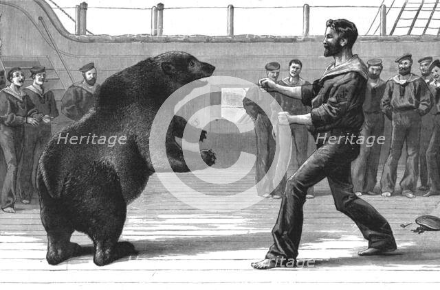 ''A Boxing Match on board H.M.S."Cambridge"; The pet bear "Bob" has now been transferred to the Zool Creator: Unknown.