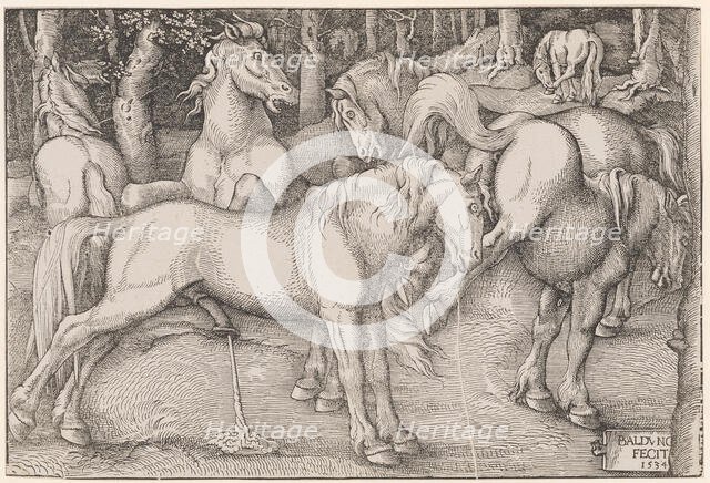 Stallion and Kicking Mare, 1534. Creator: Baldung (Baldung Grien), Hans (1484-1545).