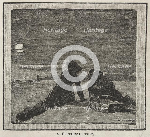 A Littoral Life, 1879. Creator: Winslow Homer (American, 1836-1910).