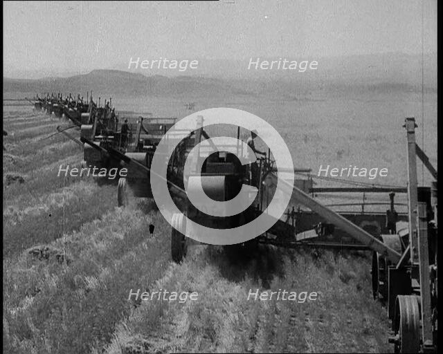 Combine Harvesters Crossing Large Fields, 1932. Creator: British Pathe Ltd.