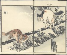 Cats. From the series Inakanotsuki, 1889.