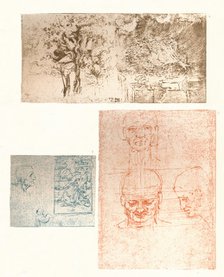 Three drawings, c1472-c1519 (1883). Artist: Leonardo da Vinci.