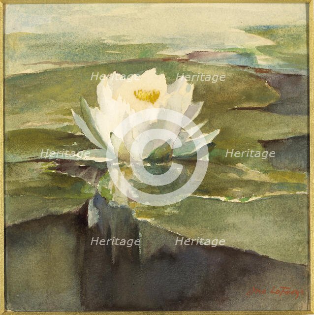 Water Lily in Sunlight, ca. 1883. Creator: John La Farge.