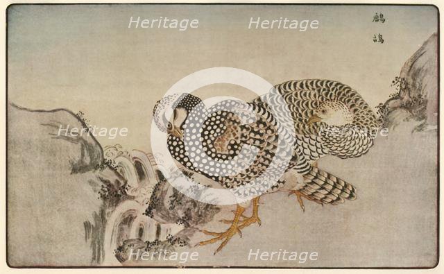 Pheasants, 1789, (1924).  Creator: Kitao Masayoshi.