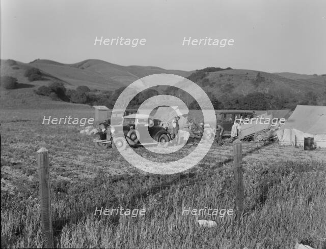 Pea pickers' camp near San Jose, California, 1937. Creator: Dorothea Lange.