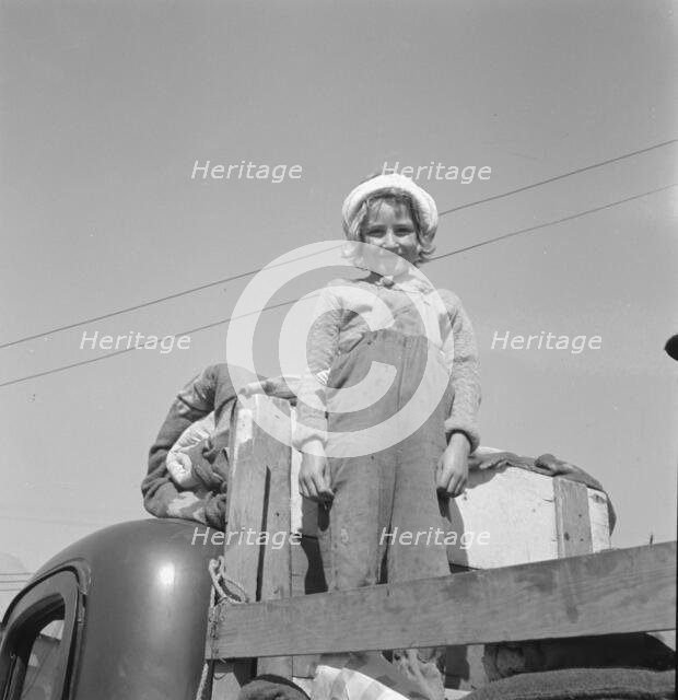 Part of family come for work in potatoes, Tulelake, Siskiyou County, California, 1939. Creator: Dorothea Lange.
