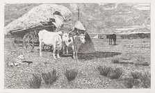 Oxen Yoked to the Cart (Maremma) [Bovi al carro (Maremma)], 1886/1887. Creator: Giovanni Fattori.