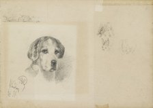 Portrait of a dog: Windsor, 1877. Artist: Rudolf Wimmer.