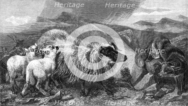 "The Unwelcome Visitor", by R. Ansdell, A.R.A., in the Exhibition of the Royal Academy, 1869. Creator: W Thomas.