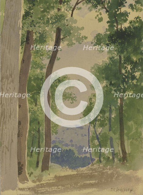 Forest path, 1854. Creator: Carl Theodor Reiffenstein.