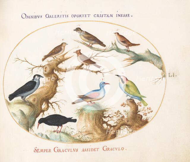 Animalia Volatilia et Amphibia (Aier): Plate LI, c. 1575/1580. Creator: Joris Hoefnagel.