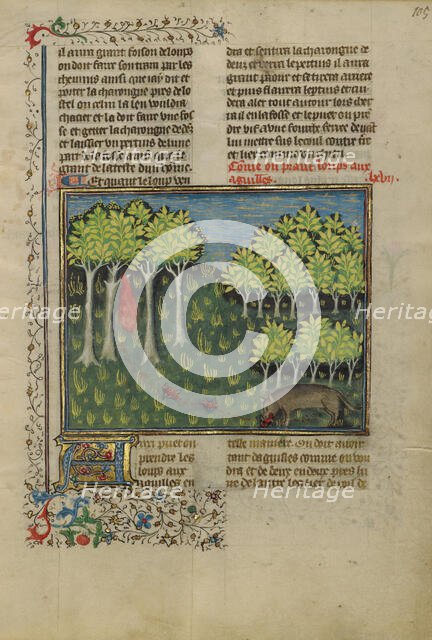 A Wolf Eating Bait Filled with Needles; Livre de la Chasse, about 1430-1440. Creator: Unknown.