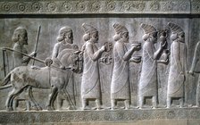 Relief of Syrians or Lydians, the Apadana, Persepolis, Iran