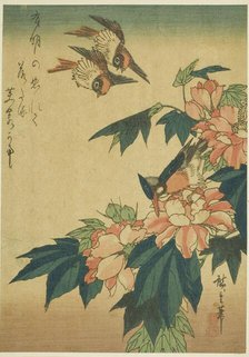 Swallows, kingfisher, and hibiscus, c. 1830s. Creator: Ando Hiroshige.