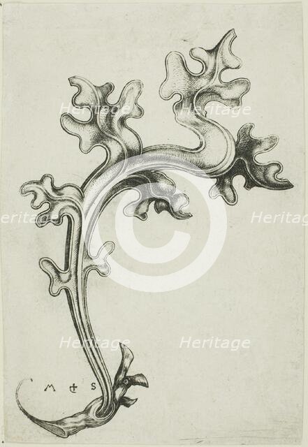 Leaf Ornament, n.d. Creator: Martin Schongauer.