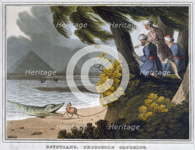 'Egyptians, Crocodile Catching', 1813. Artist: Matthew Dubourg