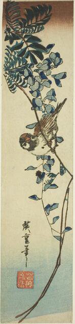 Sparrow and wisteria, 1840s. Creator: Ando Hiroshige.
