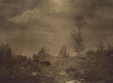 Landscape of cows grazing in a rocky field, c1900. Creator: Unknown.