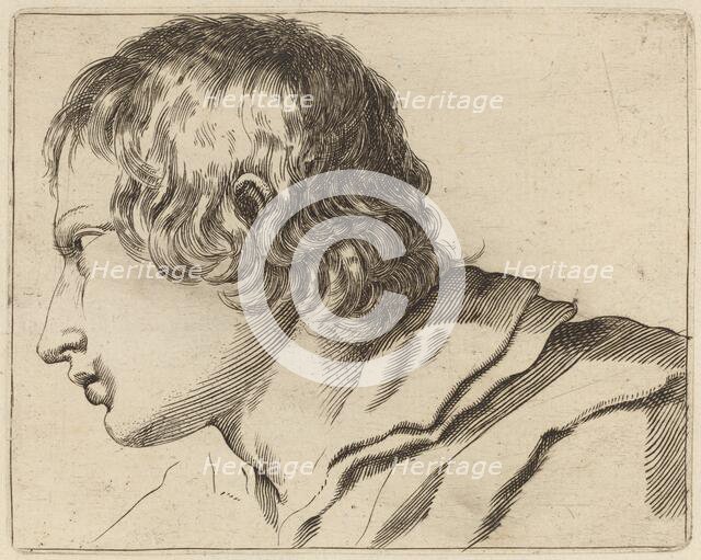 Head of a Man Turned Left. Creator: Stefano della Bella.